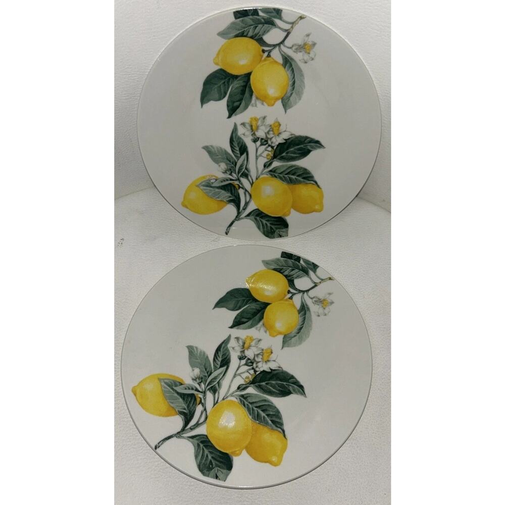 Royal Norfolk Lemon Stoneware Salad Plates NWT 7.4 in Pair